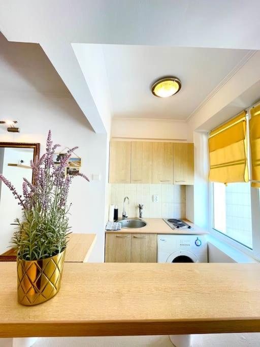 Boutique Apartment In The Bucharest City Center Exterior photo